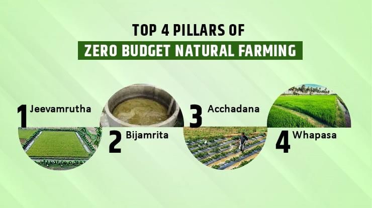 Vivek Singh Summary Agriculture - 2 | Indian Economy for UPSC CSE