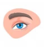 Eye