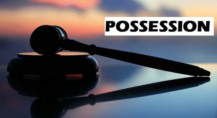Rights and Duties - Ownership and Possession - Morality and Legal ...