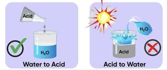Acids, Bases and Salts - 2 Class 10 Worksheet Science Chapter 2