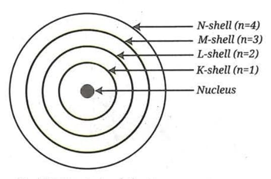 2.3 Bohr`s Model of the Atom 
