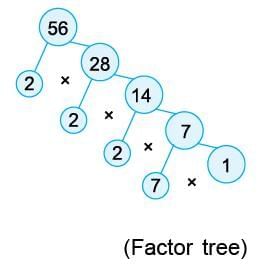 HCF & LCM Chapter Notes | Mathematics Class 6 (SSC Board)
