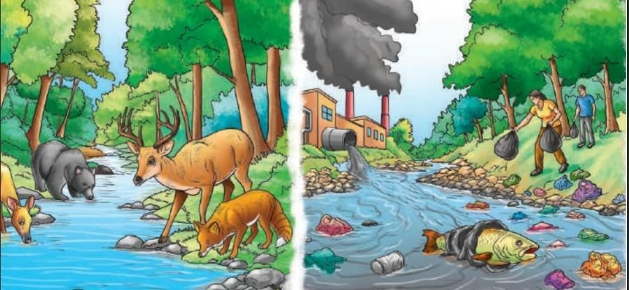 Journey of a River Chapter Notes | Our Wondrous World  Class 5 - New NCERT