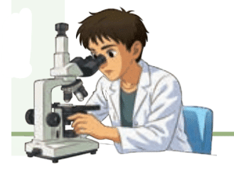 Exploring the Investigative World of Science Chapter Notes - Class 8