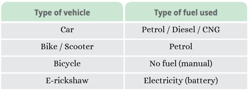 NCERT Based Activity: Nature`s Treasures | Science for Class 6