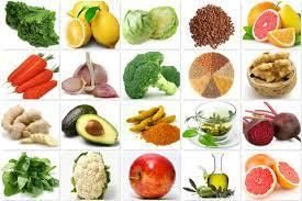 Class 4 Science - Food Our Basic Need - CBSE Worksheets - 1