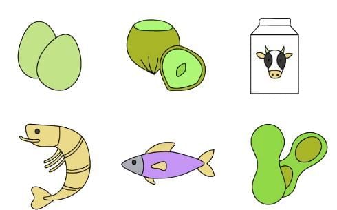 Food Choices | Food & Nutrition for Year 6
