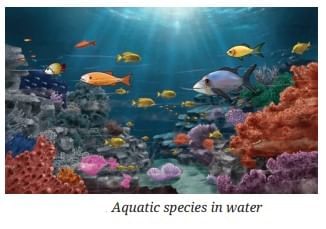 The Amazing World of Solutes, Solvents, and Solutions Chapter Notes | Chapter Notes For Class 8