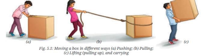 NCERT Based Activity: Exploring Forces | Science Class 8