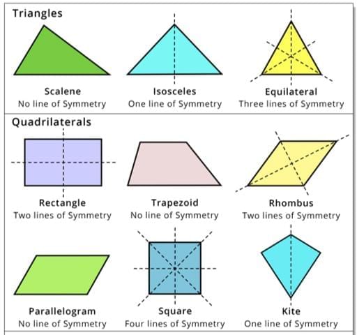 Symmetry Chapter Notes | Mathematics Class 6 ICSE