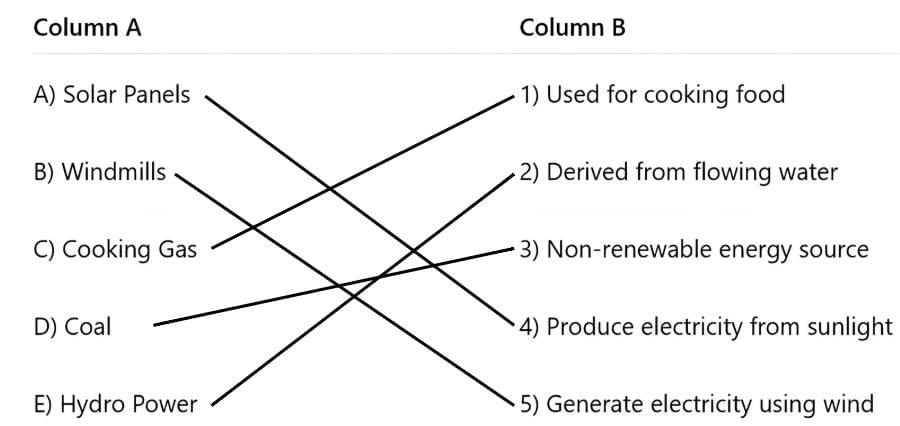 Worksheet Solutions: Energy-How Things Work | Worksheets with Solutions for Class 5