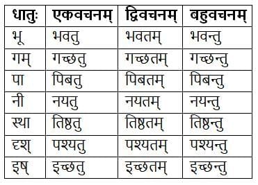 धातुरूपाणि Chapter Notes | Chapter Notes For Class 8