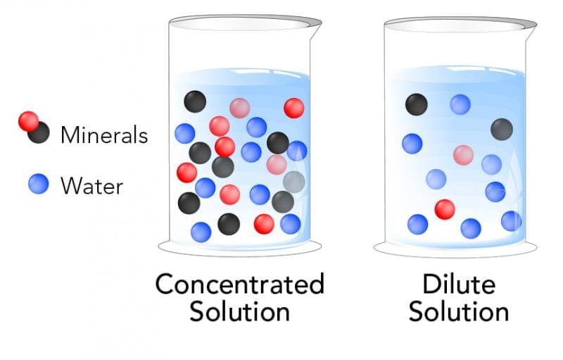 MCQ (Solution) - The Amazing World of Solutes, Solvents, and Solutions | Science Curiosity Class 8 -  New NCERT