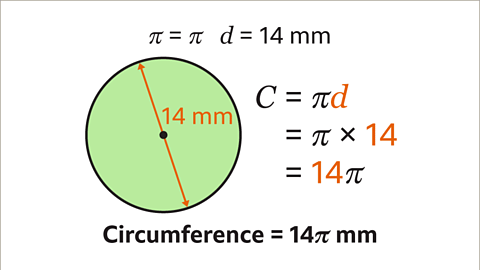 Circumference of a Circle - Year 7