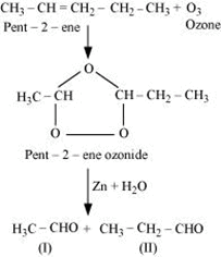 NCERT Solutions Class 11 Chemistry Chapter 9 - Hydrocarbons