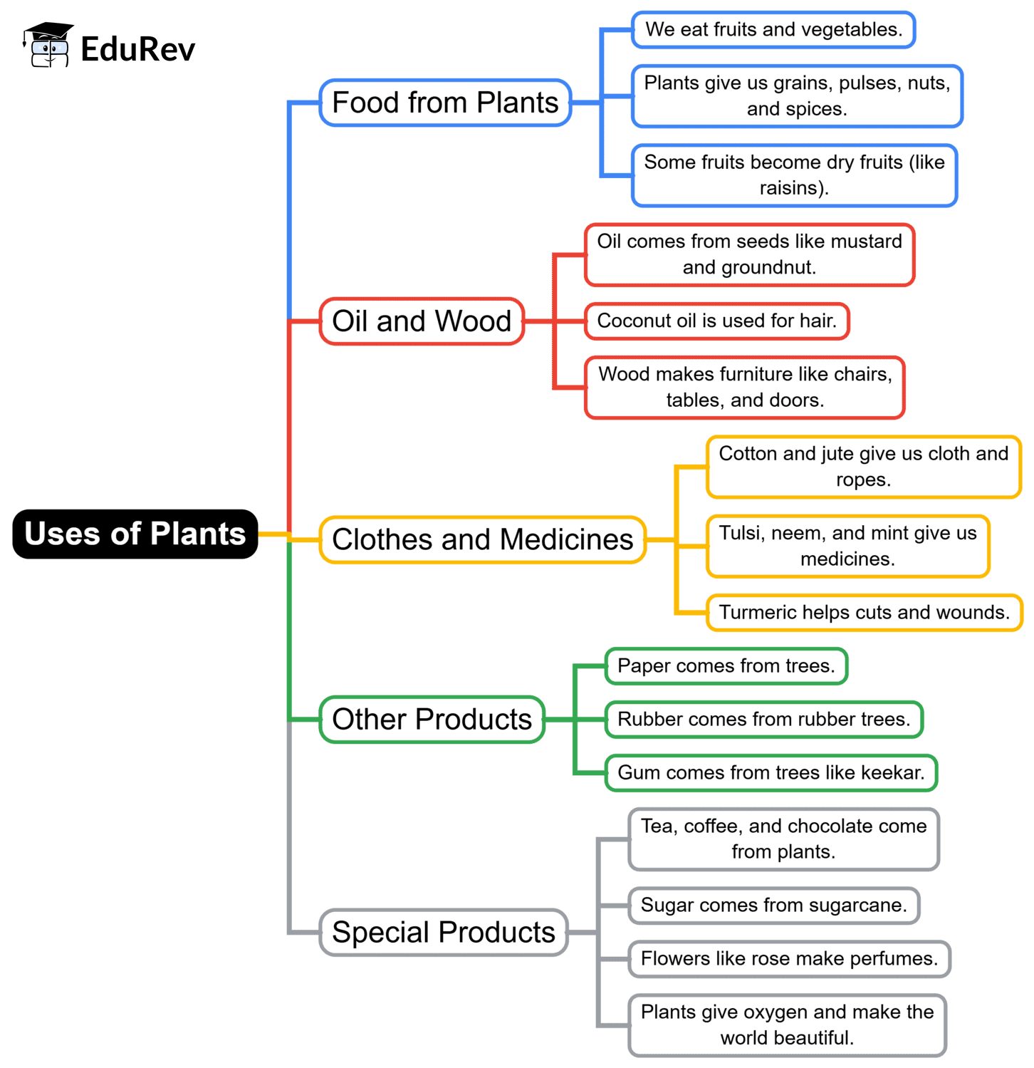 Mind Map: Uses of Plants | Science for Class 2