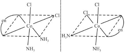 Stereo Isomerism