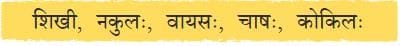 पृष्ठम् 146: प्रश्नानि