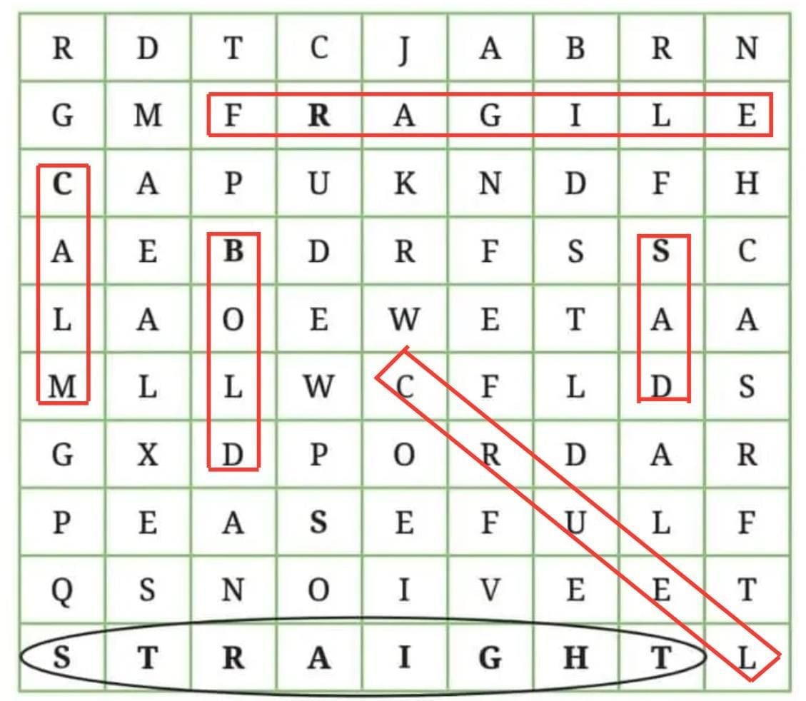 Somebody`s Mother NCERT Solutions | English Poorvi Class 8 - New NCERT