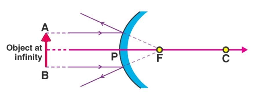 Previous Year Questions 2025