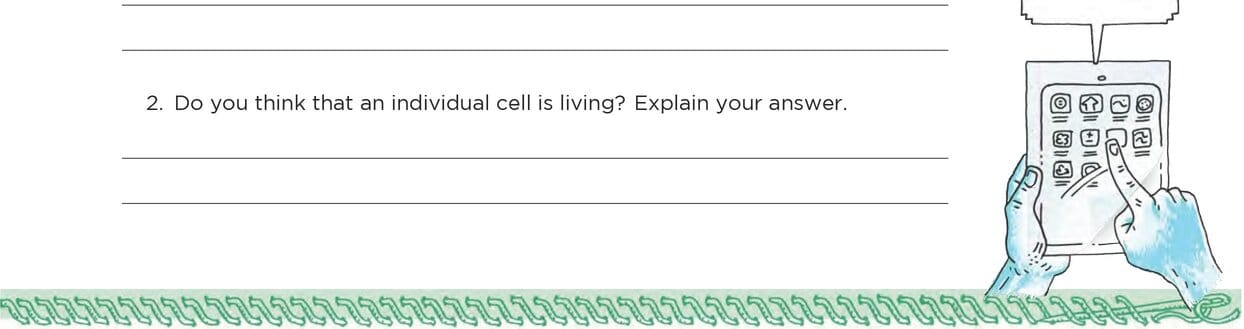 ACTIVITY: Brainstorm the Seven Functions of Life