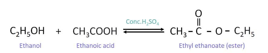Class 10 Science Chapter 4 Previous Year Questions - Carbon and its compounds