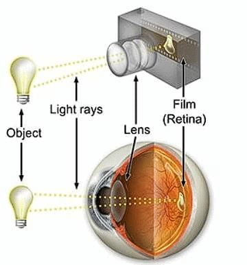 Lenses Chapter Notes | Physics for EmSAT Achieve