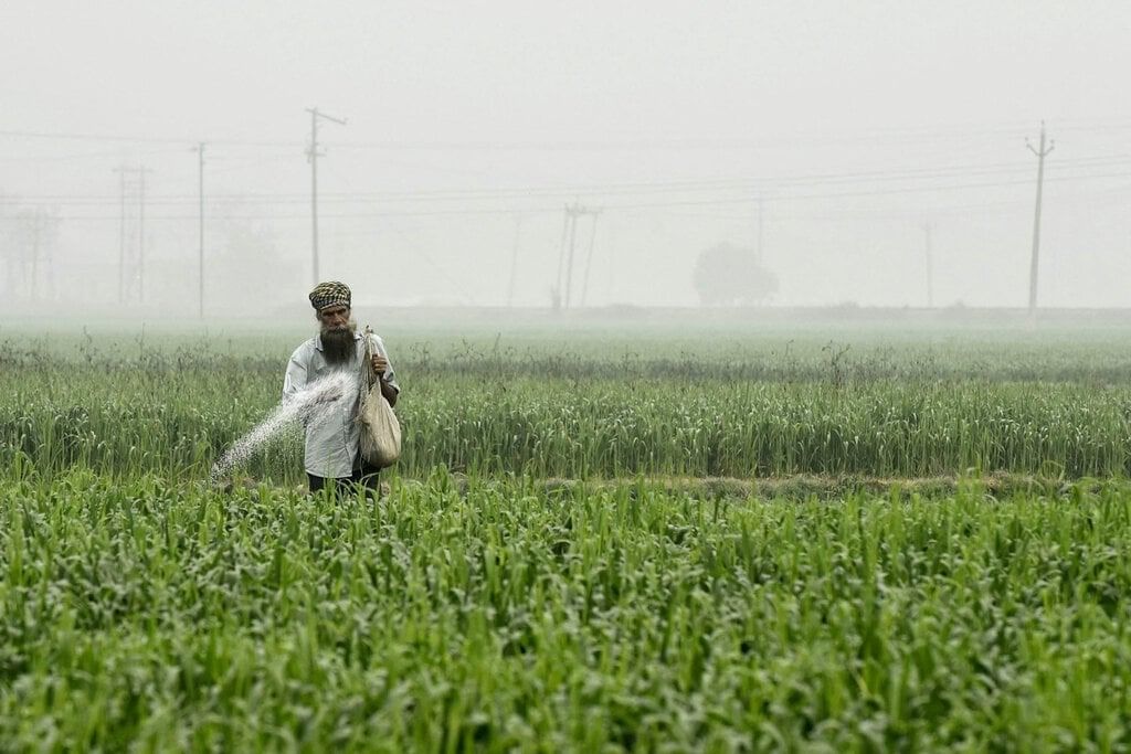 Revision Notes: Agriculture in India I-Food Crops | Geography Class 10 ICSE