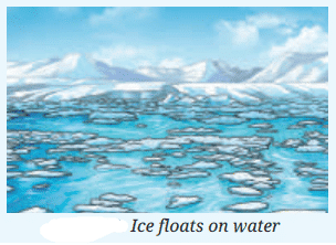 The Amazing World of Solutes, Solvents, and Solutions Chapter Notes | Chapter Notes For Class 8