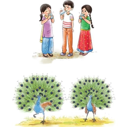 पृष्ठम् 123: प्रश्नानि