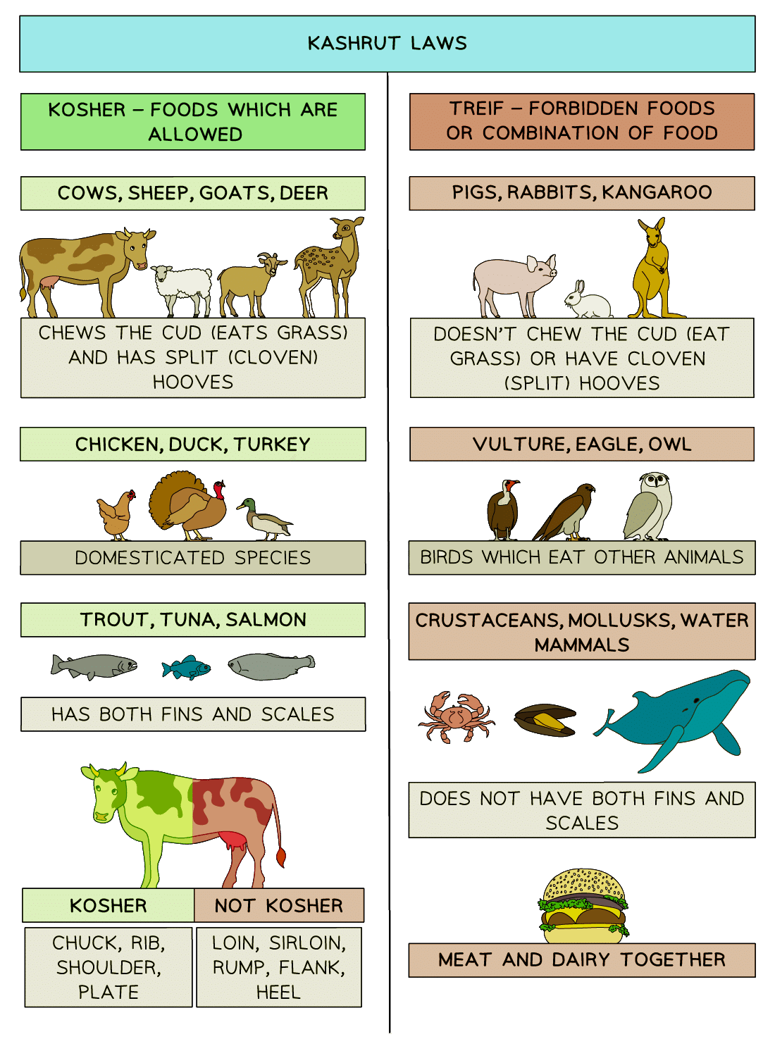 Judaism: Dietary Laws | Religion, Philosophy & Ethics for GCSE/IGCSE - Year 11