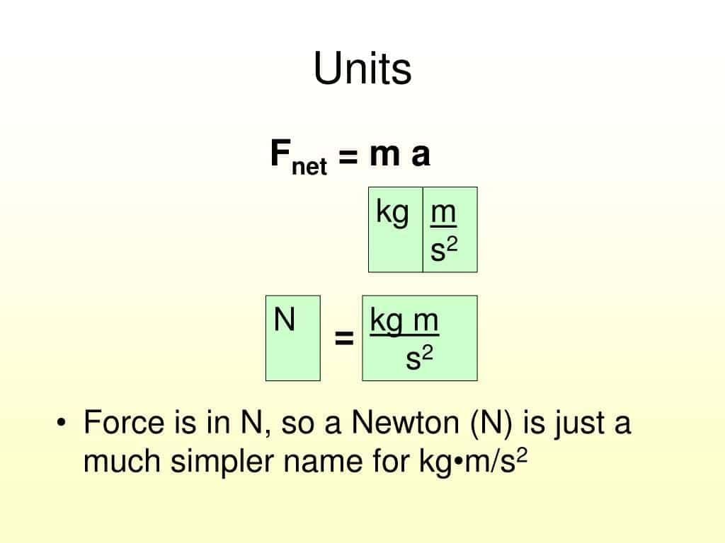 Worksheet Solutions: Exploring Forces | Worksheets with Solutions for Class 8