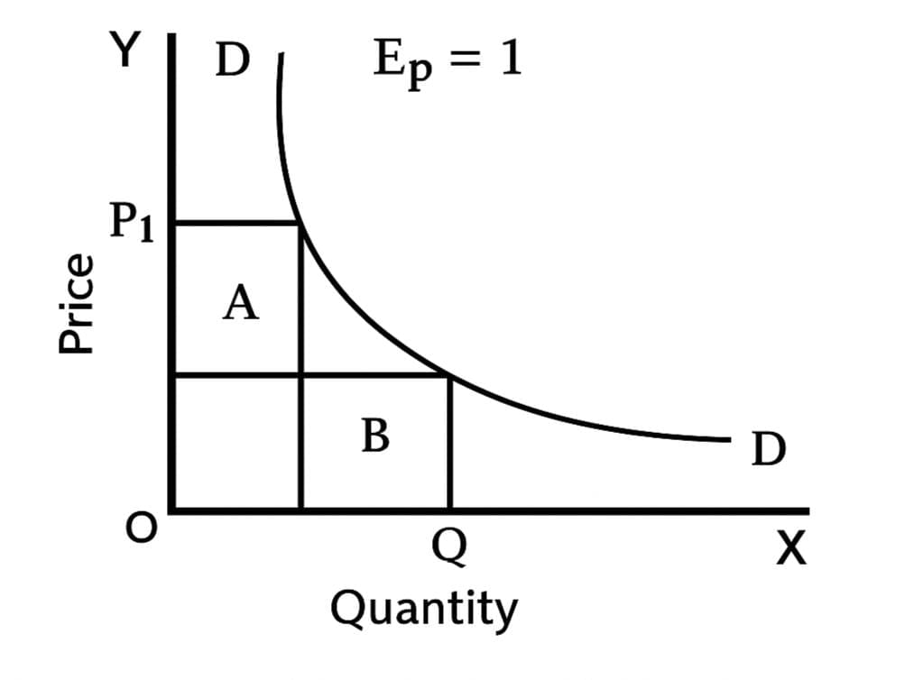 Short Notes: Unit 1: Law of Demand and Elasticity of Demand | Business Economics for CA Foundation