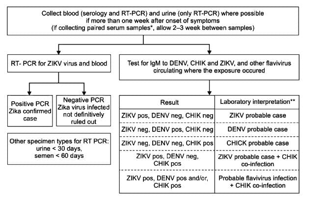 Arboviruses, Picornaviruses and Rabies Virus Chapter Notes | Microbiology - NEET PG