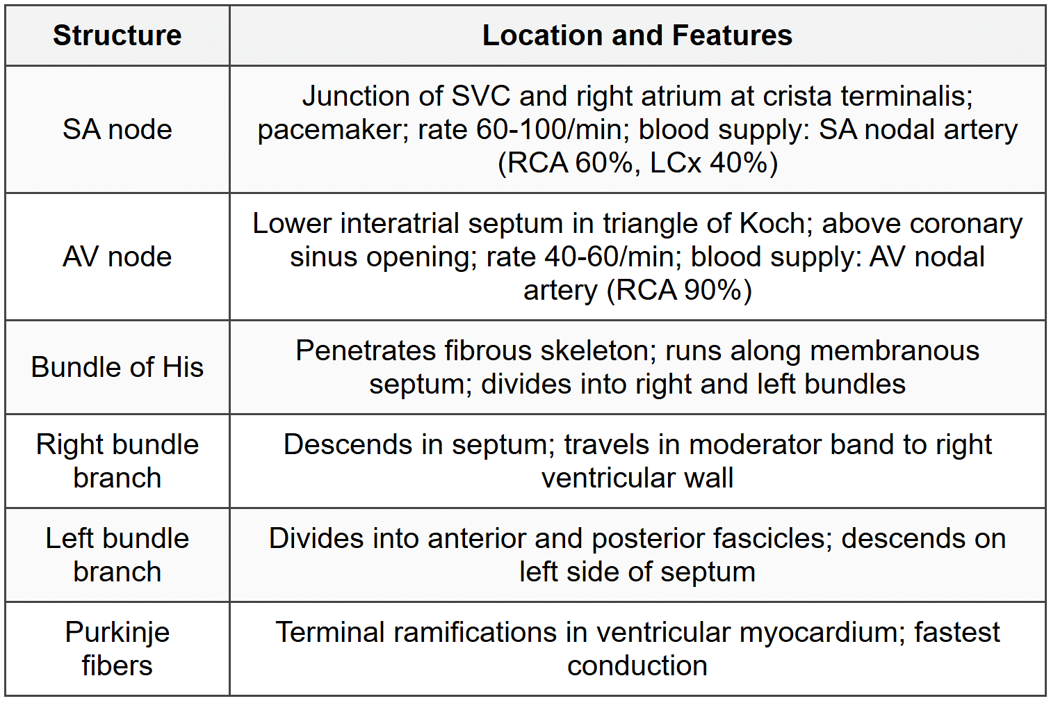 3.6 Conducting System