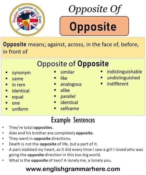 answer Image