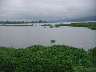 Wetlands as a National Public Good