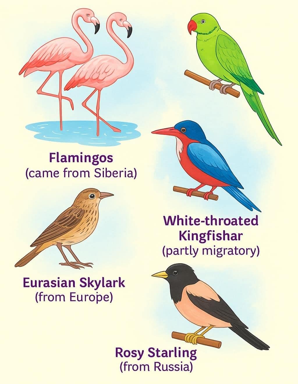 Earth-Our Shared Home NCERT Solutions | Our Wondrous World  Class 5 - New NCERT