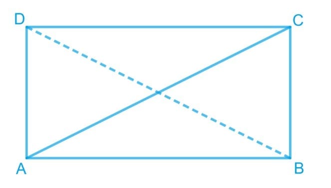 Short & Long Answer Questions: Geometric Twins
