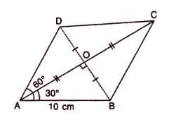 Solution of Right Triangles Chapter Notes | Mathematics Class 9 ICSE