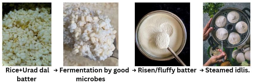 Unit Test (Solutions): The Mystery of Food | Our Wondrous World  Class 5 - New NCERT