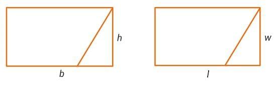 Area Chapter Notes | Mathematics for Grade 6