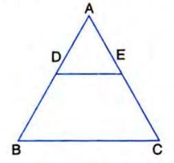Similarity Chapter Notes | Mathematics Class 10 ICSE