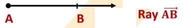Basic Concepts in Geometry Chapter Notes | Mathematics Class 6 (SSC Board)