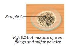 NCERT Based Activity: Nature of Matter: Elements, Compounds, and Mixtures | Science Curiosity Class 8 -  New NCERT
