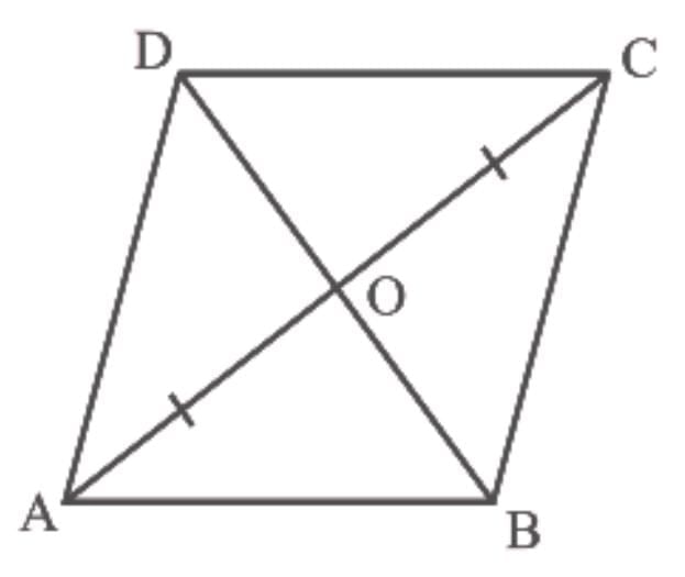 Unit Test (Solutions): Quadrilaterals | Mathematics (Maths) Class 9