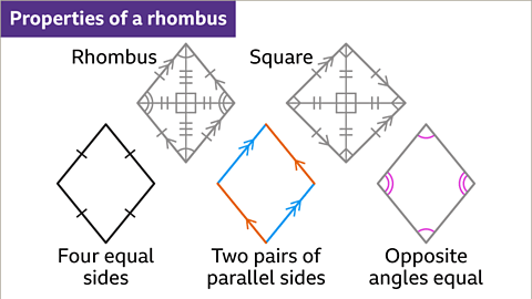 Properties of Quadrilaterals - Year 7