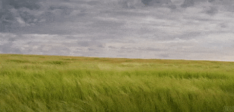 Wind