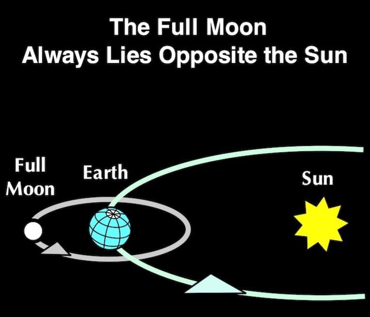 Unit Test (Solutions): Keeping Time with the Skies | Science Curiosity Class 8 -  New NCERT