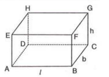 Volume and Capacity Chapter Notes | Mathematics Class 8 ICSE